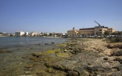 calagamba11.jpg, 22 KB